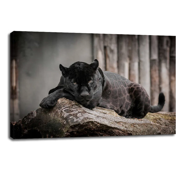 Black Panther Canvas Wall Art – Animal Print for Living Room Decor