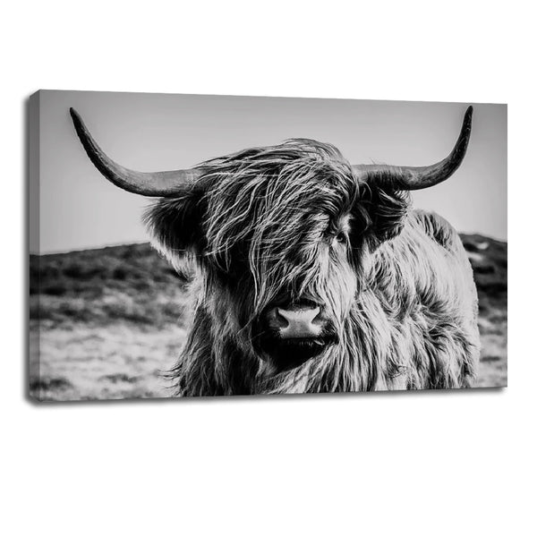 Highland Cow B&W Canvas Wall Art – Scottish Cattle Photography for Home Decor