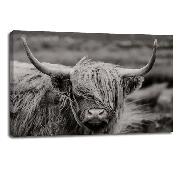 Highland Cow Canvas Wall Art – Black & White Scotland Cow Farmhouse Decor