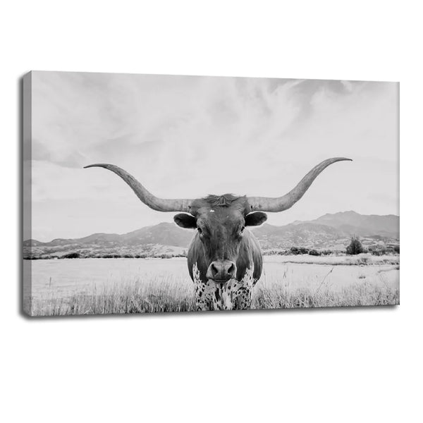 Scottish Highland Cow Canvas Art – Black & White Animal Photography Wall Decor