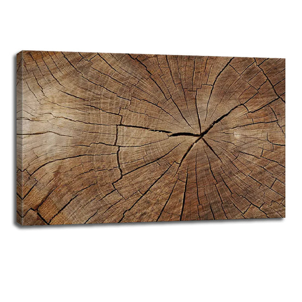 Wood Texture Canvas Wall Art – Abstract Tree Ring & Crack Print